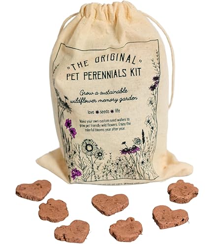 Amazon.com : Pet Perennials Dog Memorial Wildflower Garden DIY Kit